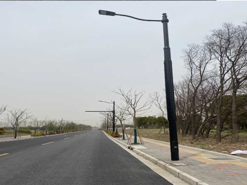 龙山县上海综合杆 太阳能路灯工程